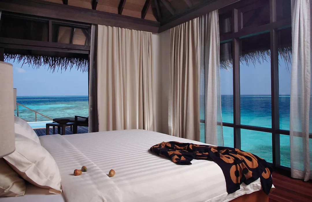 Coco Bodu Hithi - Stay 4 Nights Or More And Enjoy 30 Percent Off Shared Roundtrip Speedboat, Valid For Stays Until 31St August 2026-1